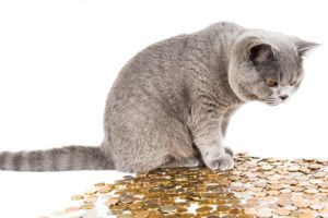 Finanční změny, které přinese rok 2021
